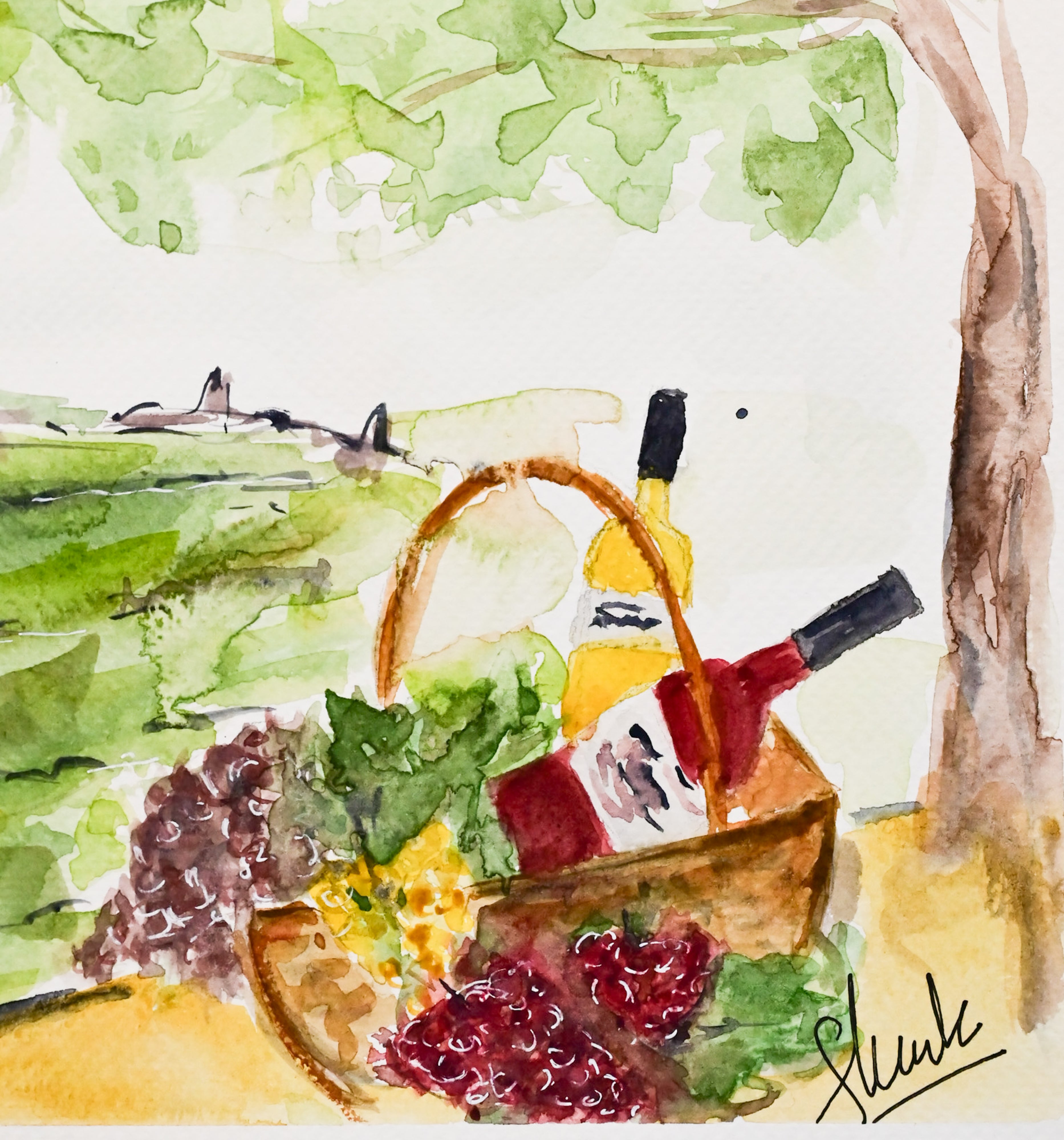 Harvest basket