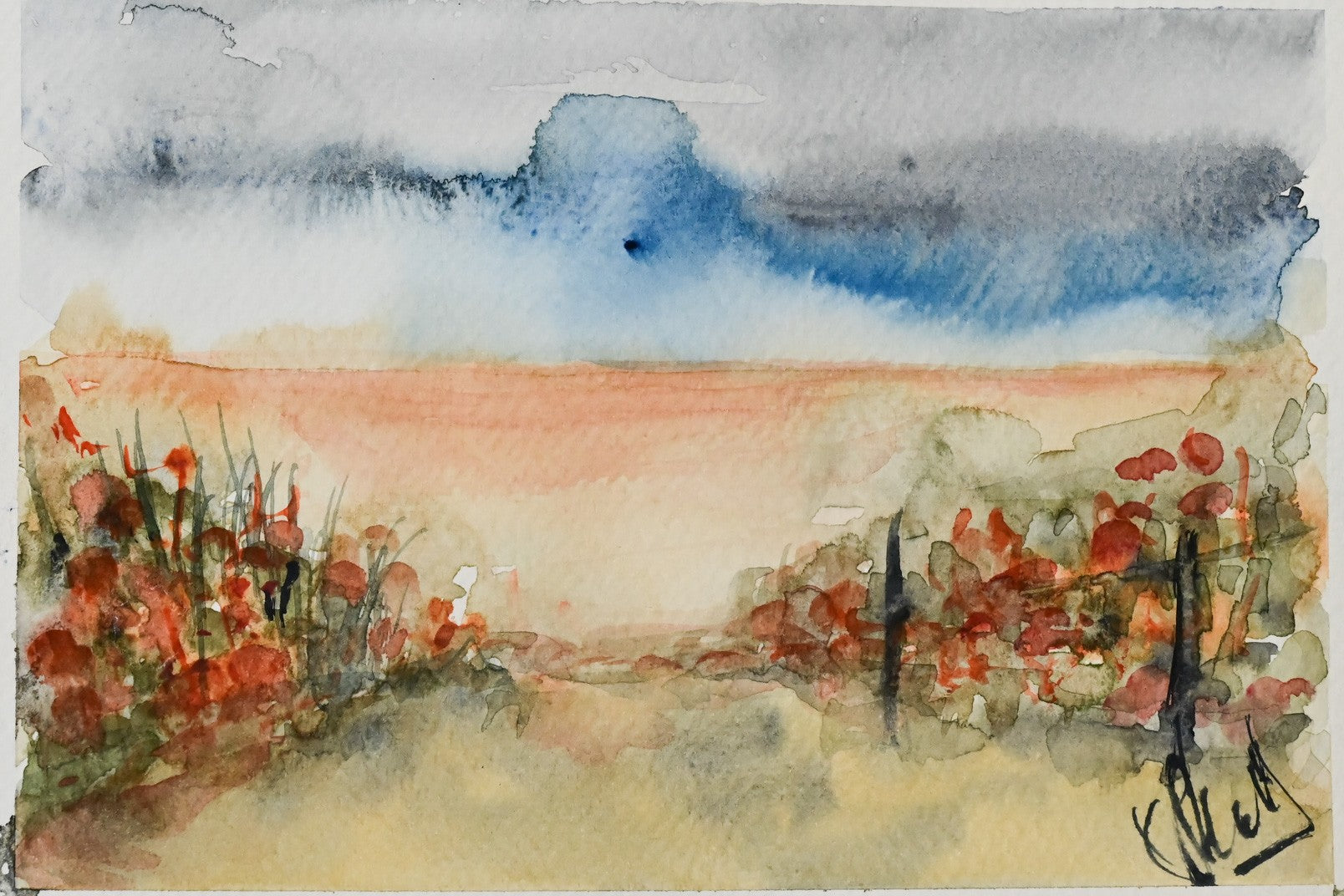 Poppy path